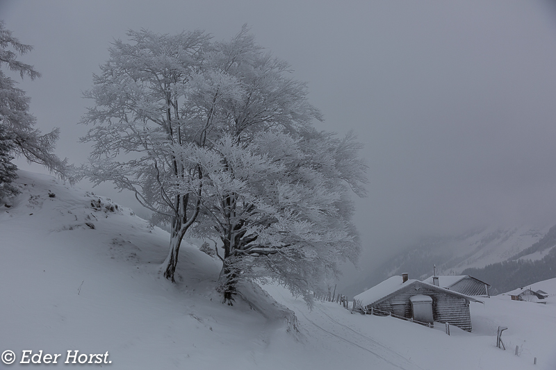 Schneeschuhwandern zur Genneralm und rund um die Langbatseen.