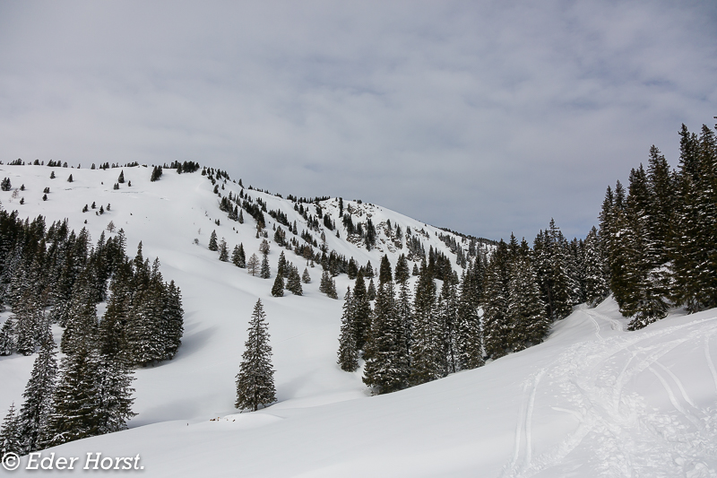 Schneeschu-Wandern im Triebental.