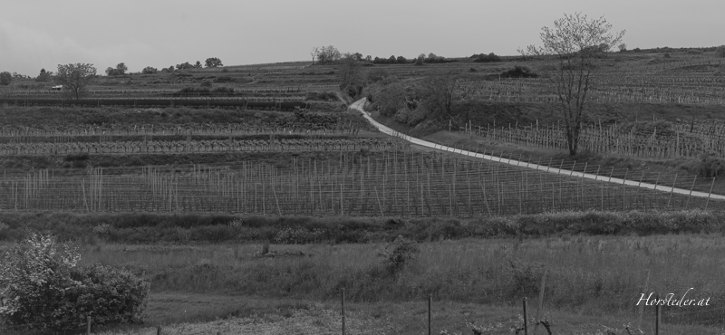 In der Wachau im Frühling unterwegs….